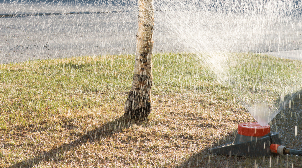 Ricks Garden Center Winter Garden