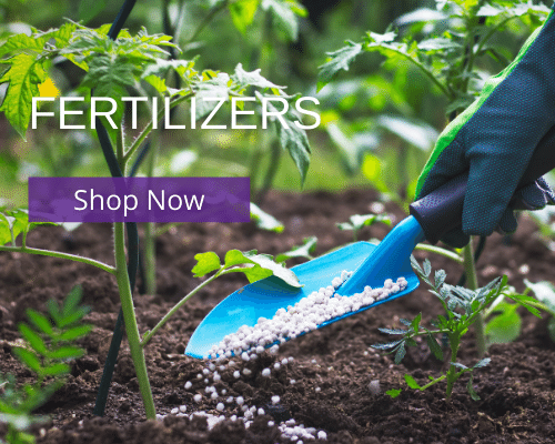 https://www.ricksgarden.com/wp-content/uploads/2021/03/Fertilizers.png