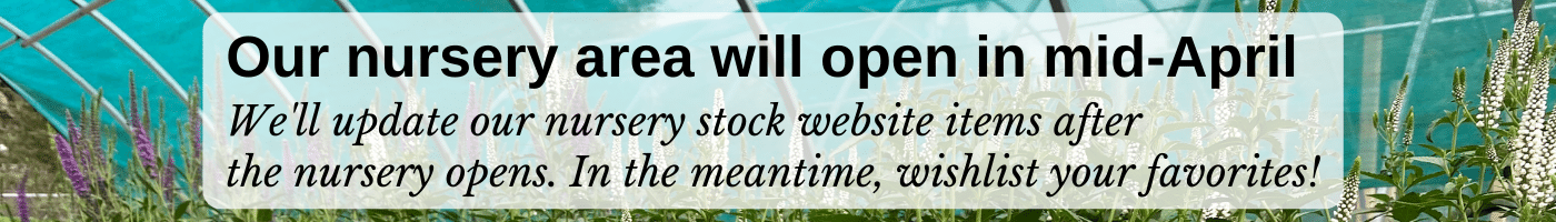 Our nursery area will open in mid-April! We'll update our nursery stock website items after the nursery opens. In the meantime, wishlist your favorites!