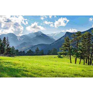 Bulk Mountain Seed Mix Grass Seed AVS 1lb
