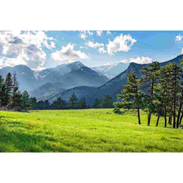 Bulk Mountain Seed Mix Grass Seed AVS 1lb