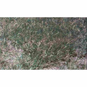 Bulk Low Profile Native Mix Grass Seed 1lb