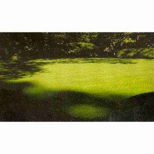 Bulk Rick's Sun & Shade Mix Grass Seed 1lb