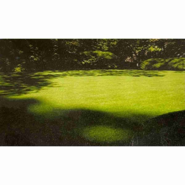 Bulk Rick's Sun & Shade Mix Grass Seed 1lb