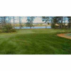 Bulk Rick's Shady Lawn Grass Seed 1lb