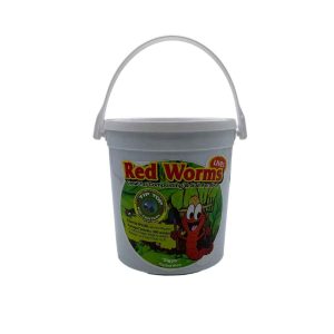 Red Wiggler Worms 300 ct