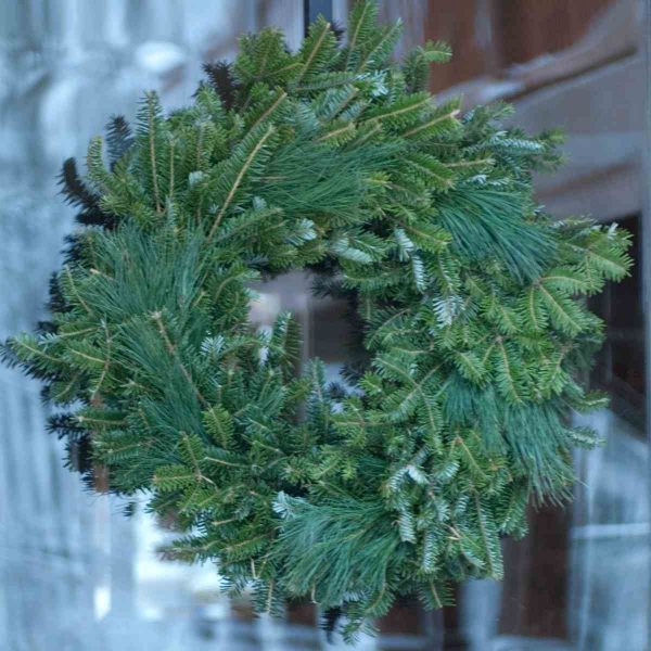 Christmas Wreath - 20 in Mixed Greenery, Plain