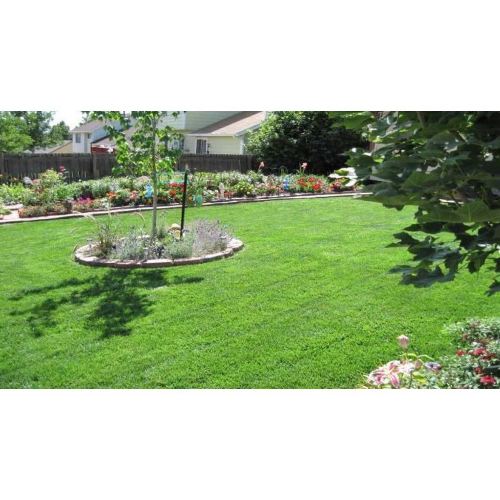 Ricks Garden Center Bulk ProTurf Grass Seed 1Lb