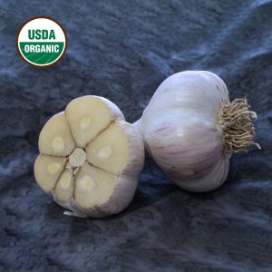 Garlic German Xtra Hardy Certified Organic
