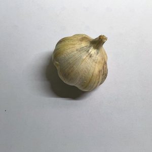 Garlic Korean Red (WI) Certified Organic