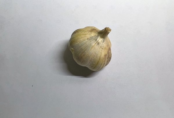 Garlic Korean Red (WI) Certified Organic