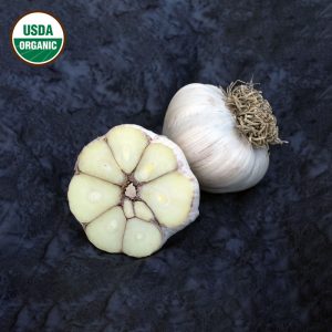 Garlic Asian Tempest Certified Organic