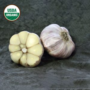 Garlic Chesnock Red Certified Organic