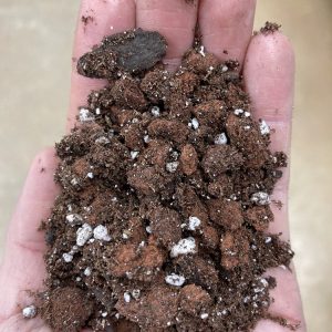 Bulk Succulent Soil