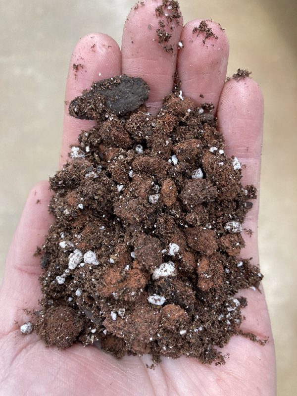 Bulk Succulent Soil