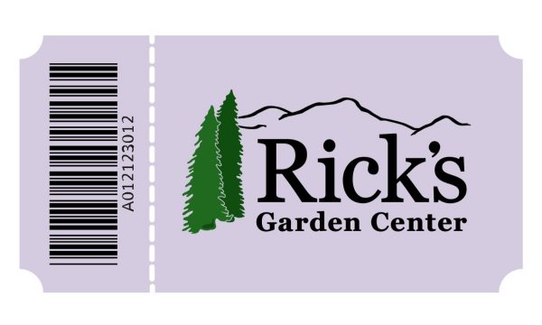 Springtime Tree Diseases in the Rocky Mountains