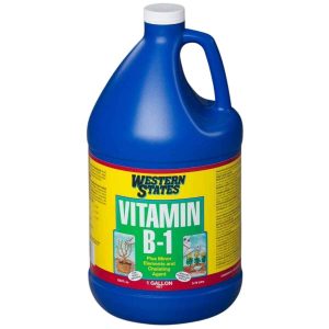 Liquinox Western States Liquid Vitamin B-1 1gal