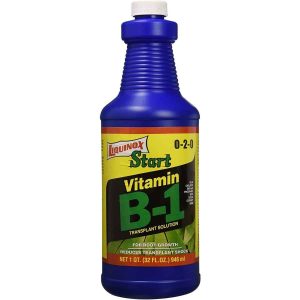 Liquinox Western States Liquid Vitamin B-1 1qt
