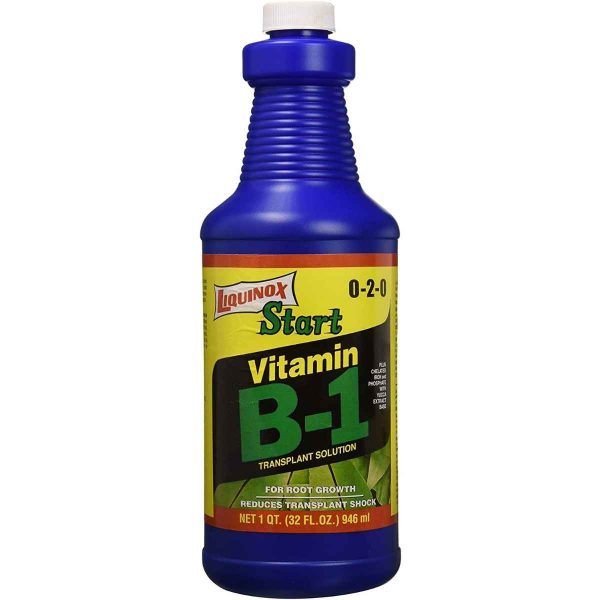 Liquinox Western States Liquid Vitamin B-1 1qt